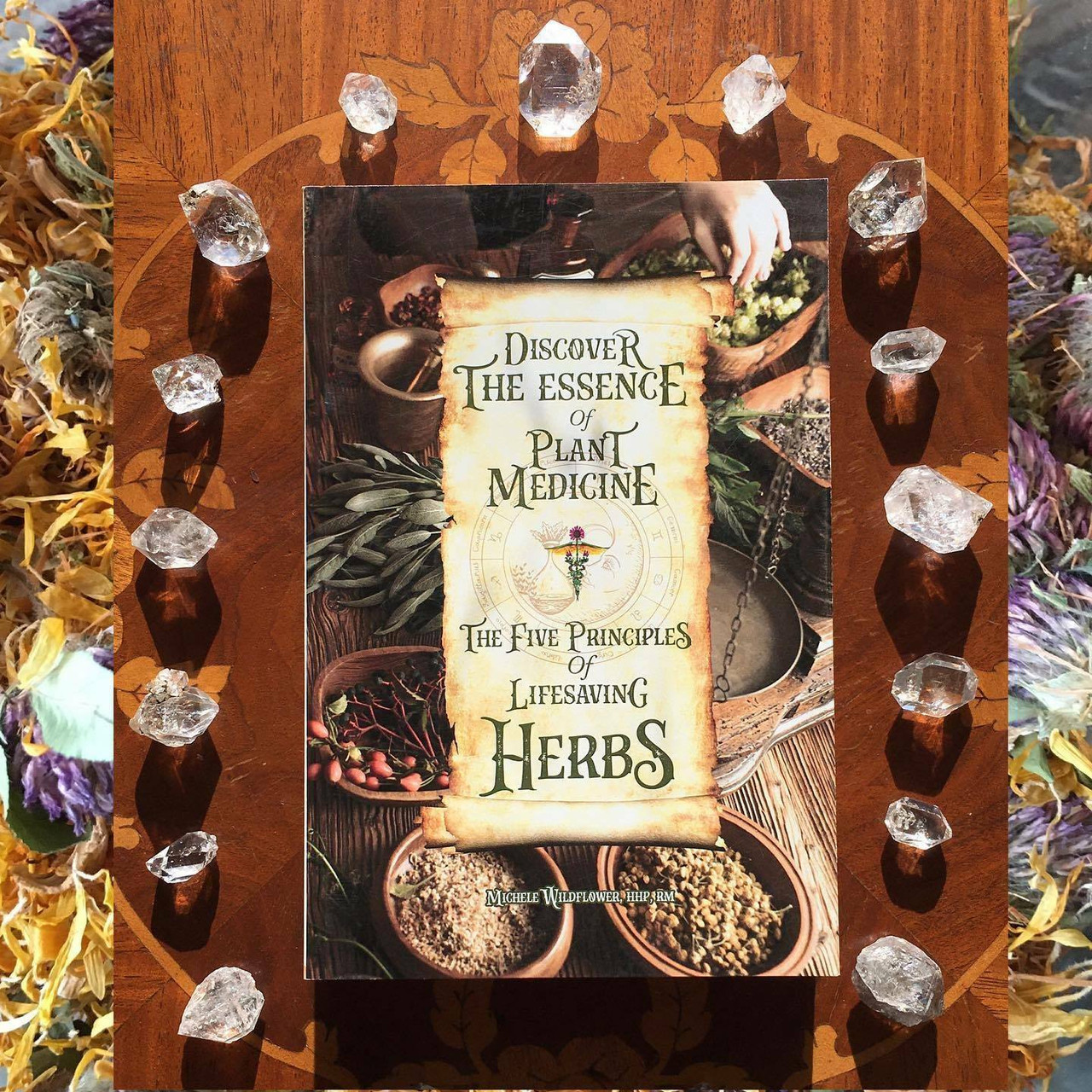 Herbal Medicine Books